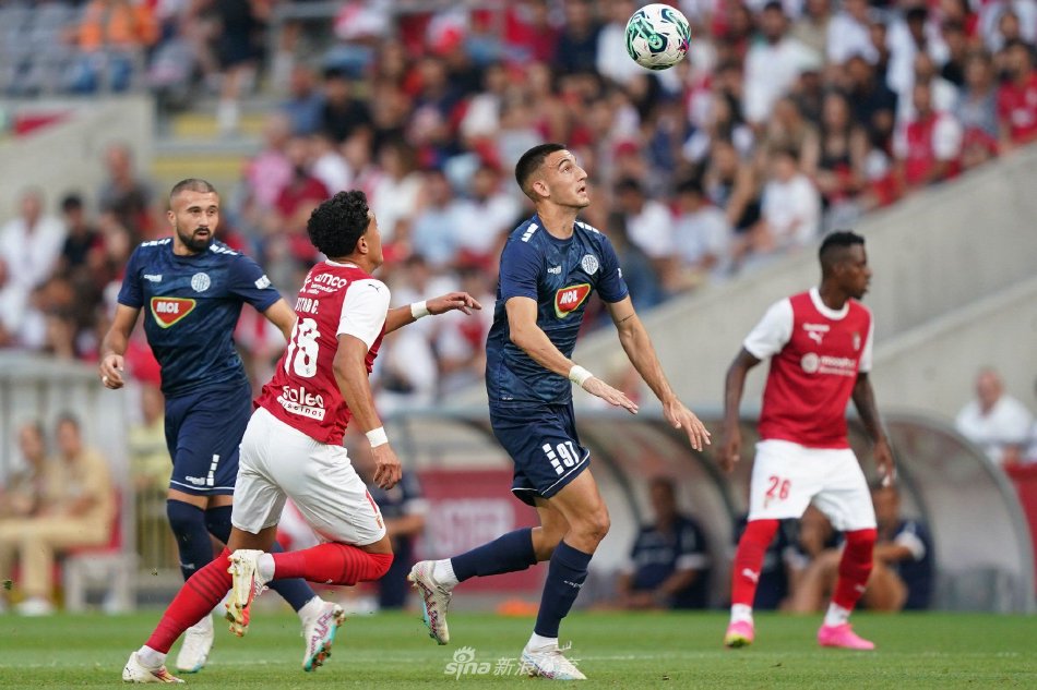 年轻的鹈鹕 年轻的鹈鹕